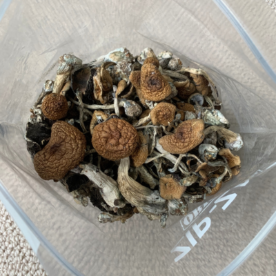 Thai Mushrooms