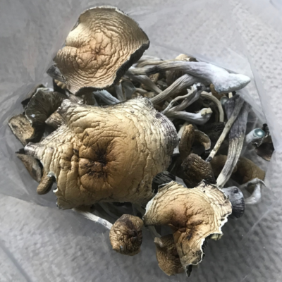 Koh Samui Mushrooms bag