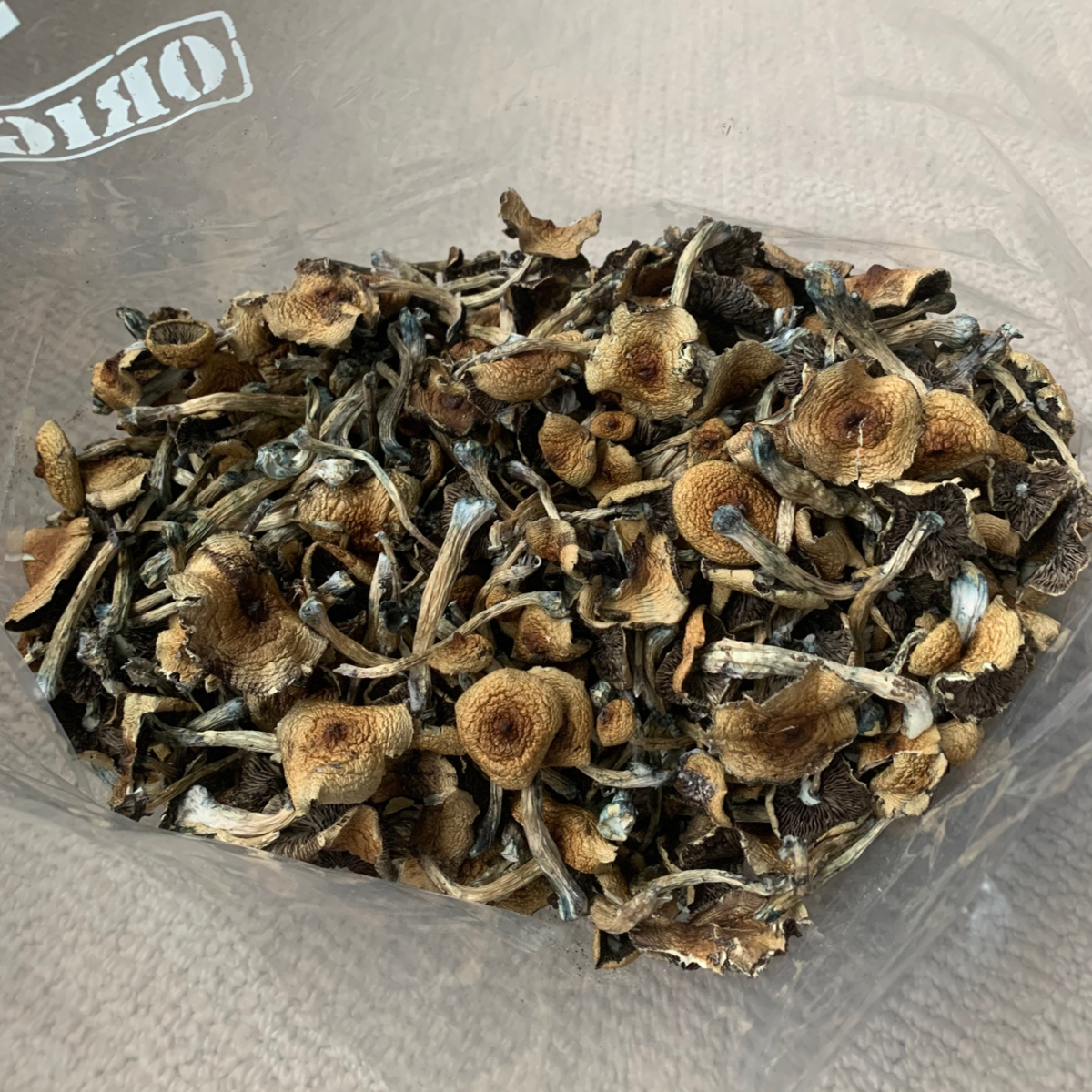 Dreamweaver mushrooms  bag