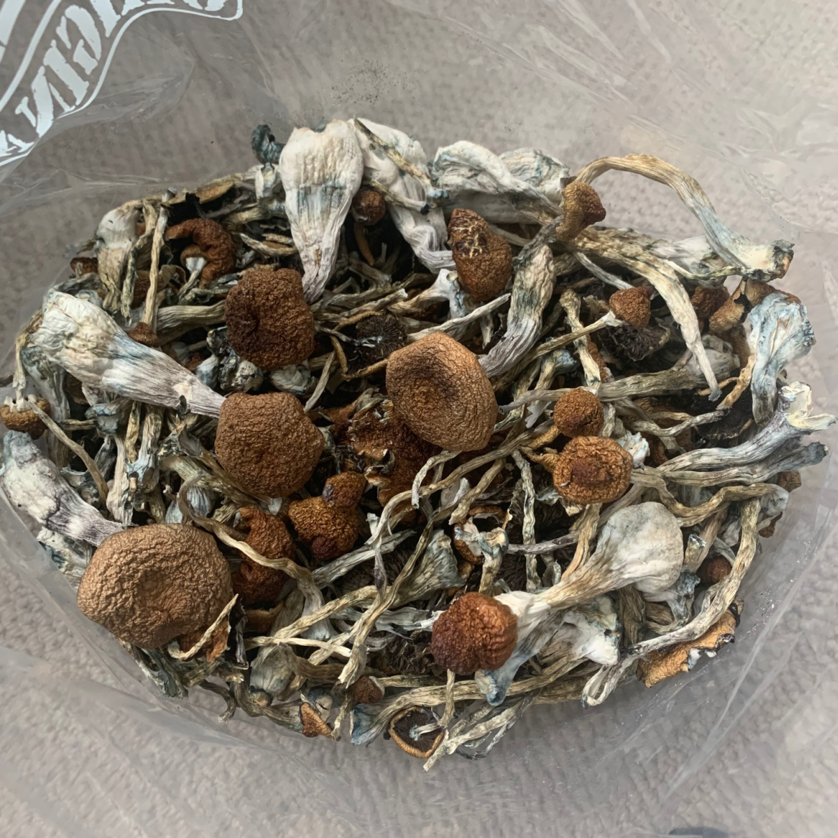Golden Teacher mushrooms bag