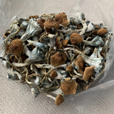 Treasure coast mushrooms  bag