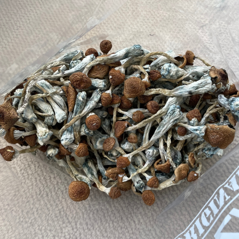 White Rabbit Mushrooms Shrooms and Edibles