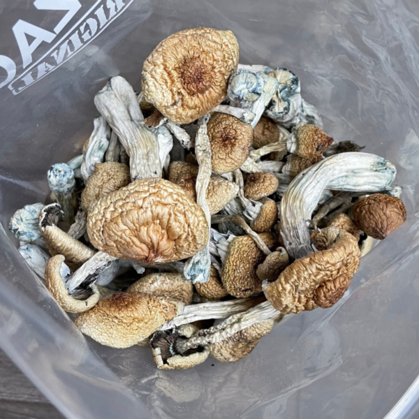 Tyc Mushrooms Bag 3