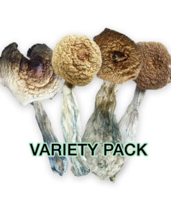 Premium Variety Pack