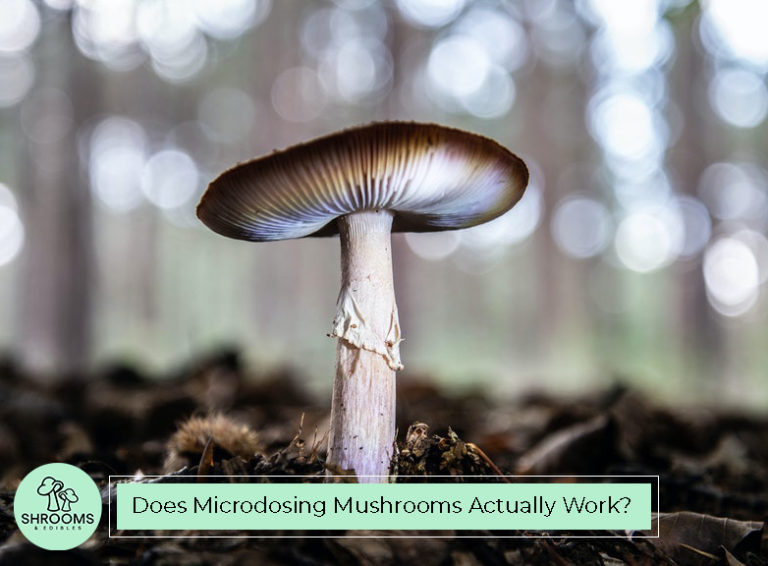 Does Microdosing Mushrooms Actually Work? - Shrooms and Edibles