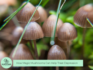How Magic Mushrooms Can Help Treat Depression