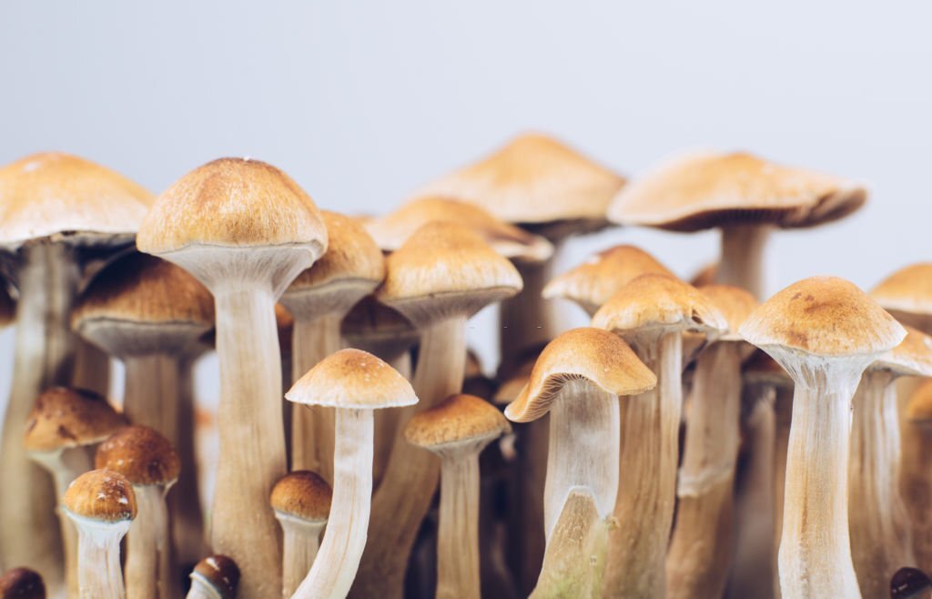 How To Overcome A Bad Magic Mushroom Trip