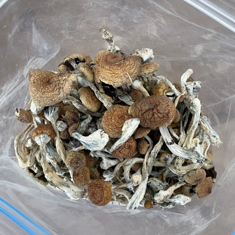 Treasure Coast Mushrooms - Shrooms and Edibles