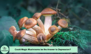 Could Magic Mushrooms Be The Answer To Depression