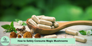 How To Safely Consume Magic Mushrooms