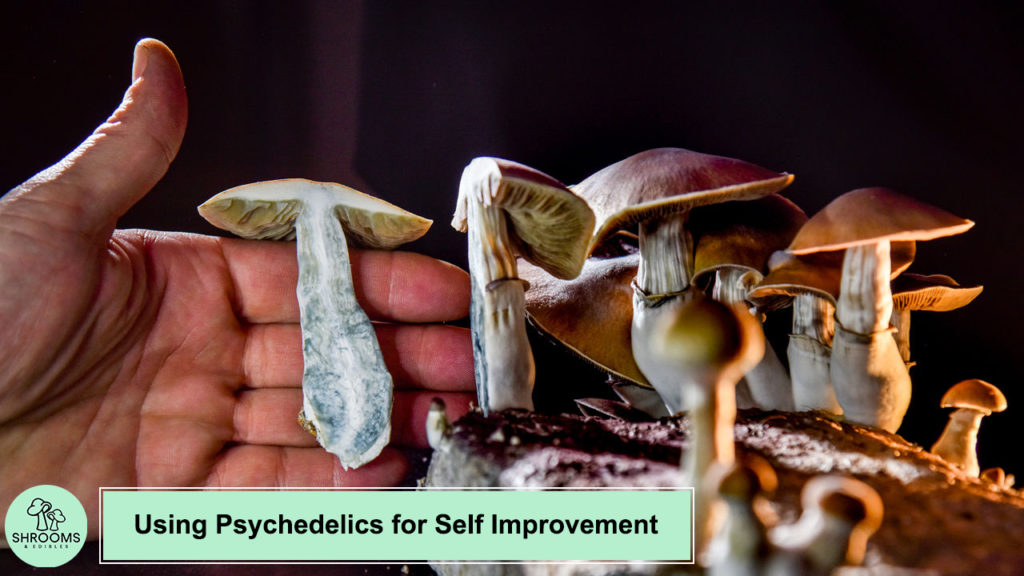 Using Psychedelics for Self Improvement