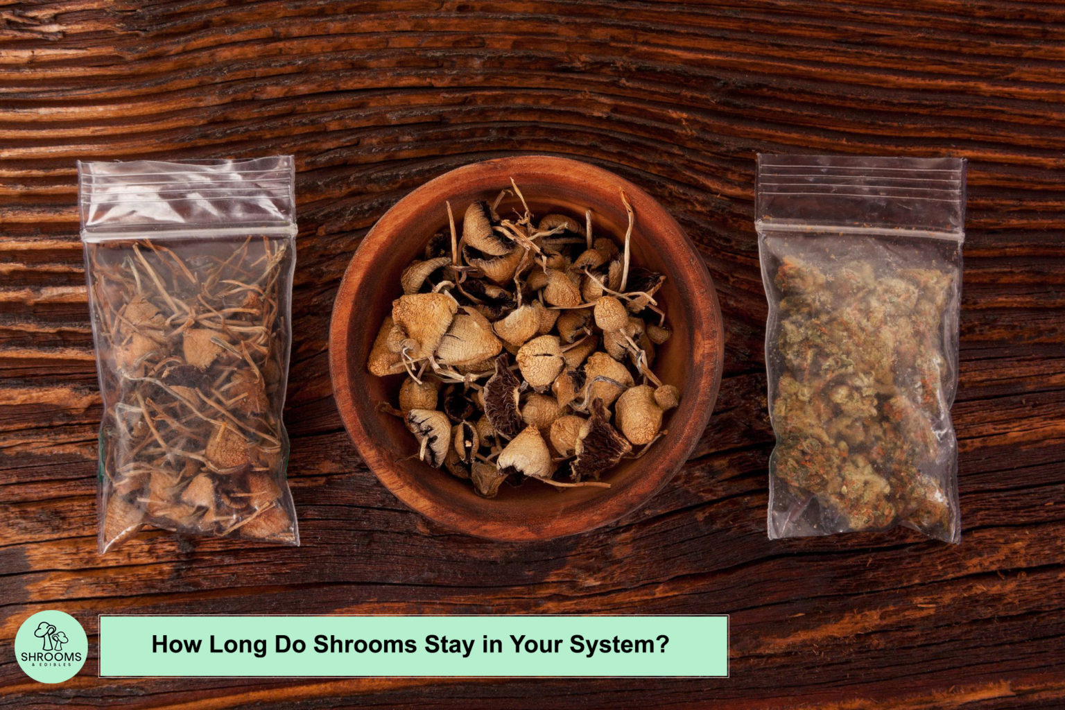 How Long Do Shrooms Stay in Your System? - Shrooms and Edibles