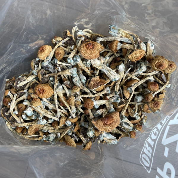 Huautla Magic Mushroom Bag 1