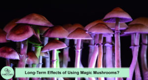Long Term Effects Of Using Magic Mushrooms