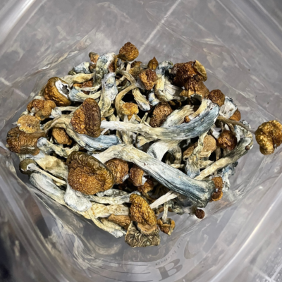 Malabar Magic Mushrooms Bag