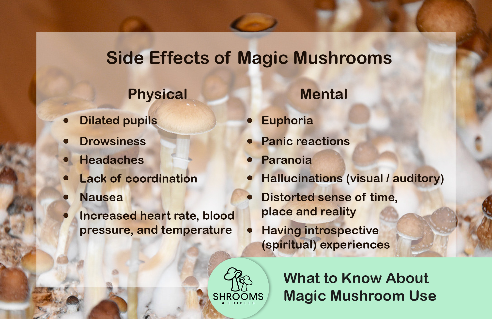 What To Know About Magic Mushroom Use
