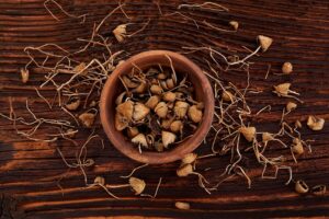 How Long Do Magic Mushrooms Stay in Your System