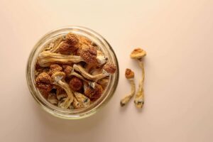 Top 5 Mistakes Beginners Make with Magic Mushrooms
